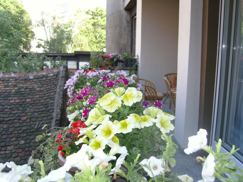 Apartment Deligradska Белград Екстериор снимка